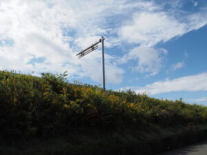 国道23号の側道にて(伊勢市田尻町)