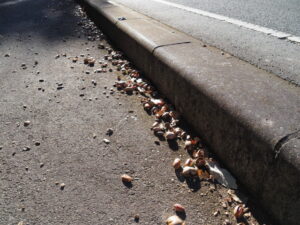 大仏山公園の散策路にて