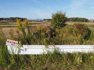 明和町明星にて