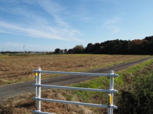 近鉄 斎宮第20号踏切道付近からの遠望