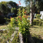 明星古墳公園（明和町明星）