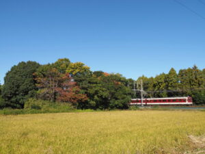 近鉄 明星1号踏切道付近