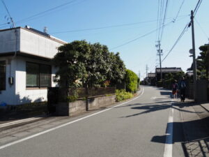 伊勢街道(明和町新茶屋)