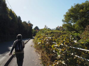 伊勢街道から大仏山公園へ
