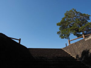 大仏山公園スポーツセンター多目的グラウンドへ