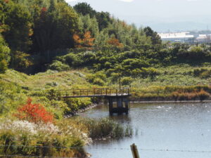 大仏山公園にて