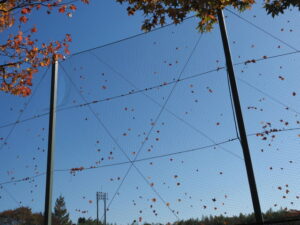 大仏山公園 野球場にて
