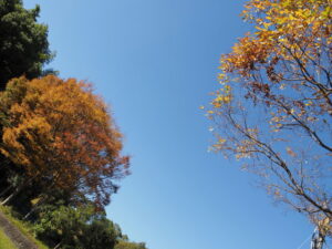 三重県営大仏山公園にて