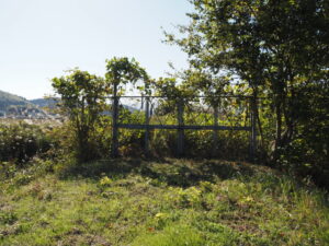 佐奈川右岸の堤防は紀勢本線で行き止まり