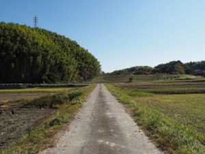 県道708号から五佐奈新池へ