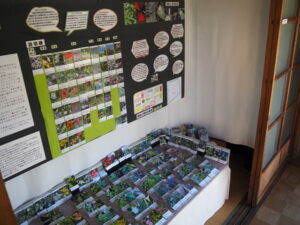 企画展「森にもぐる 里におよぐ 循環する野生」