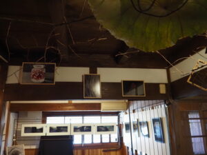 企画展「森にもぐる 里におよぐ 循環する野生」