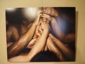 企画展「森にもぐる 里におよぐ 循環する野生」