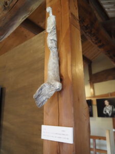 企画展「森にもぐる 里におよぐ 循環する野生」