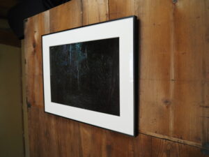 企画展「森にもぐる 里におよぐ 循環する野生」