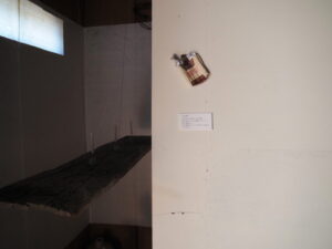 企画展「森にもぐる 里におよぐ 循環する野生」