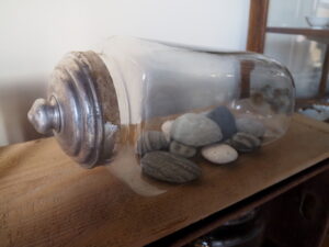 企画展「森にもぐる 里におよぐ 循環する野生」