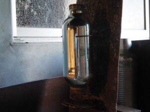 企画展「森にもぐる 里におよぐ 循環する野生」