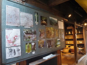 企画展「森にもぐる 里におよぐ 循環する野生」