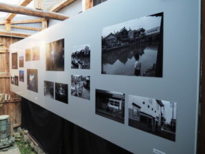 企画展「森にもぐる 里におよぐ 循環する野生」