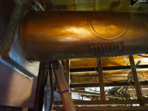 企画展「森にもぐる 里におよぐ 循環する野生」