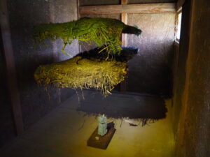 企画展「森にもぐる 里におよぐ 循環する野生」