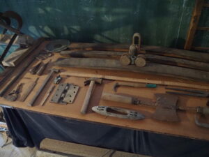 企画展「森にもぐる 里におよぐ 循環する野生」