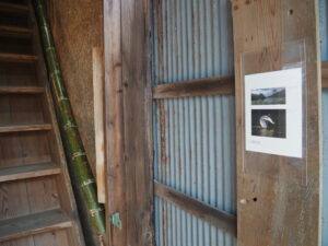 企画展「森にもぐる 里におよぐ 循環する野生」