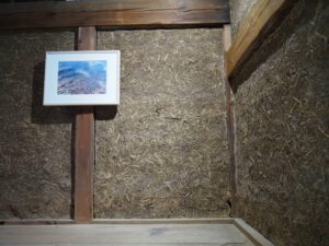 企画展「森にもぐる 里におよぐ 循環する野生」