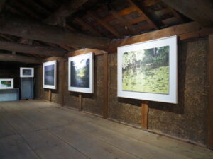 企画展「森にもぐる 里におよぐ 循環する野生」