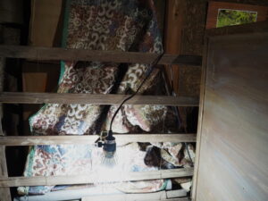 企画展「森にもぐる 里におよぐ 循環する野生」