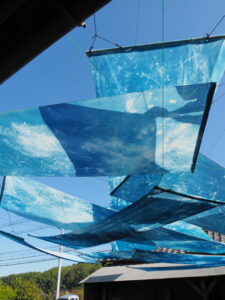 企画展「森にもぐる 里におよぐ 循環する野生」