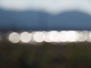 多気町土羽にて