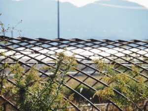 多気町土羽にて
