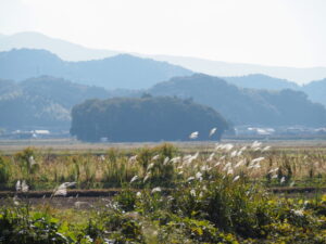 朽羅神社の遠望(多気町土羽にて)