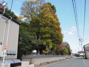 慶蔵院付近（伊勢市小俣町元町）