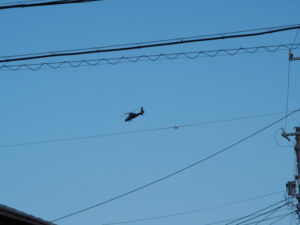 伊勢市小俣町元町にて