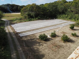 豊浜大橋の南詰付近