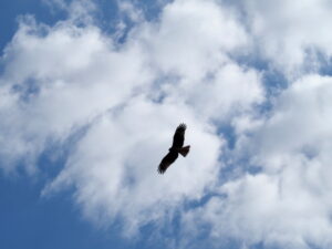 豊浜大橋の南詰付近にて