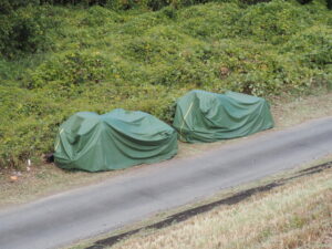 宮川ラブリバー公園にて