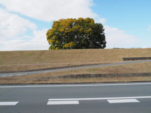 伊勢市御薗町長屋にて