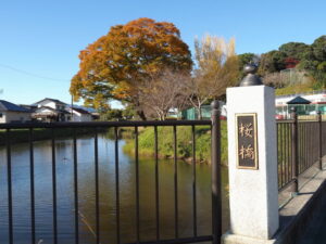 田丸城外堀に架かる桜橋付近