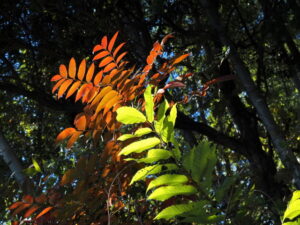 玉城町勝田にて