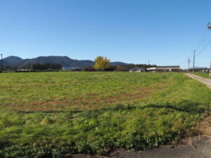 玉城町宮古にて