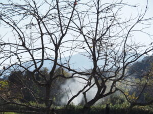 玉城町宮古にて