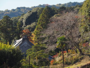 廣泰寺方向の遠望（玉城町宮古）