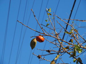 玉城町宮古にて