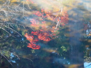 廣泰寺付近（玉城町宮古）