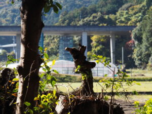上宮古神社にて（玉城町宮古）