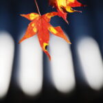 廣泰寺（玉城町宮古）